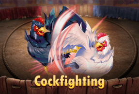 cockfighting