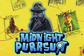 midnightpurrsuit