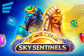 skysentinels